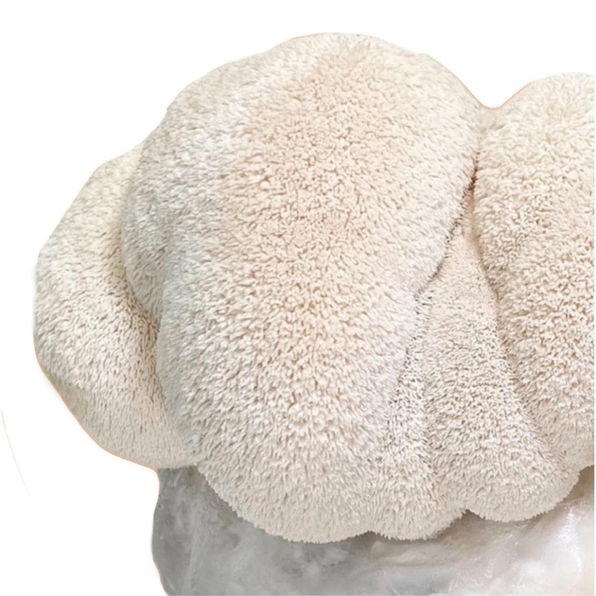 Organic Lion's Mane Mushroom Grow Kit Fruiting Block - Image 4