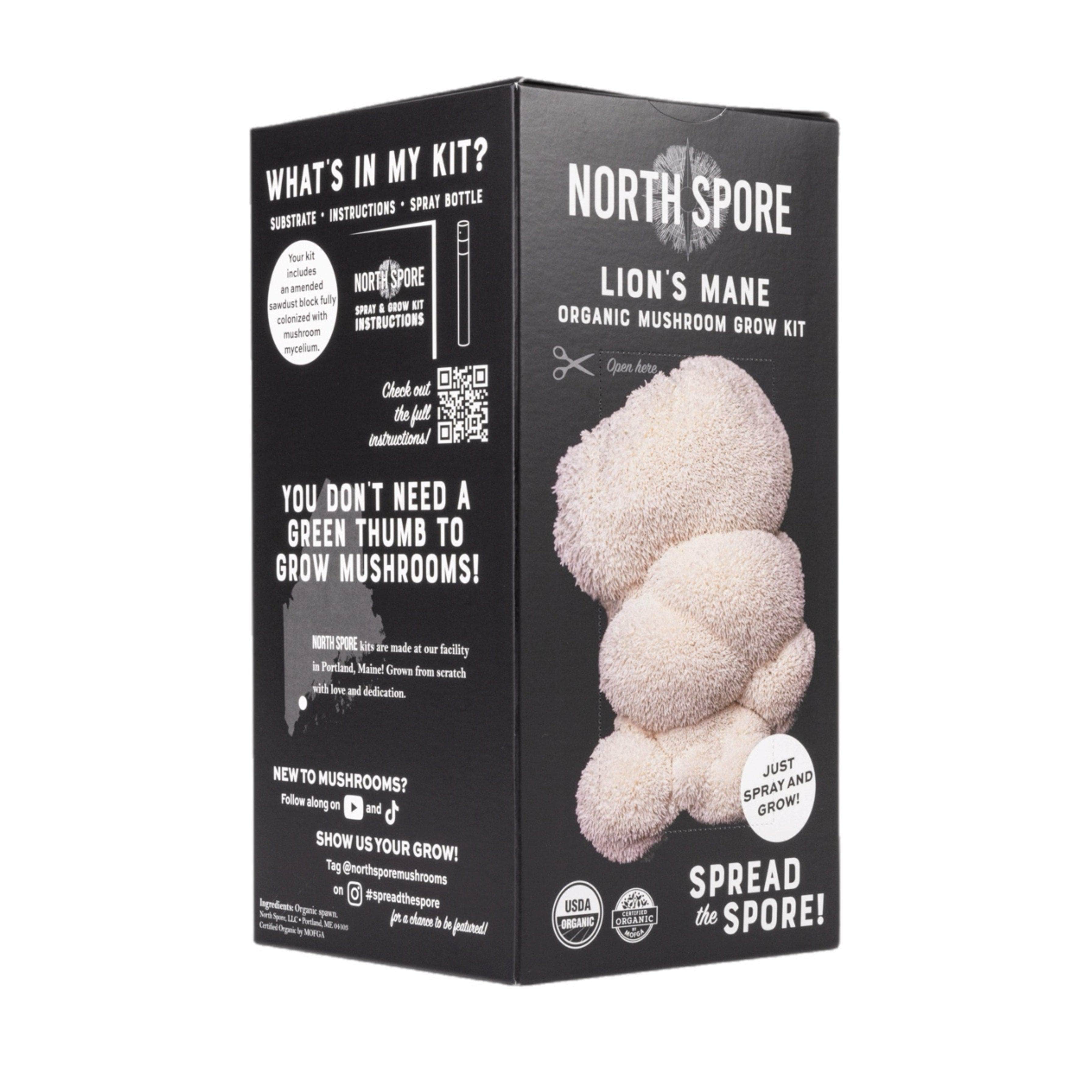 Organic Lion's Mane ‘Spray & Grow’ Mushroom Growing Kit - Image 5